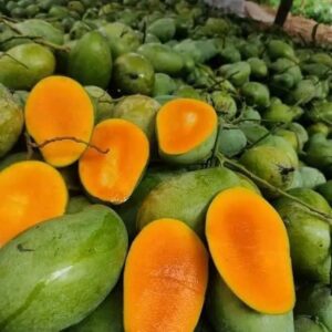রাজশাহীর আম্রপালী আম ২০ কেজি