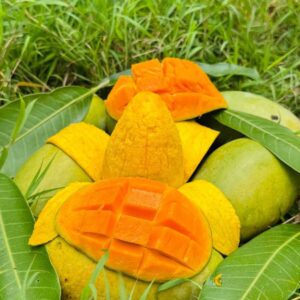 রাজশাহীর আম্রপালী আম ১২ কেজি